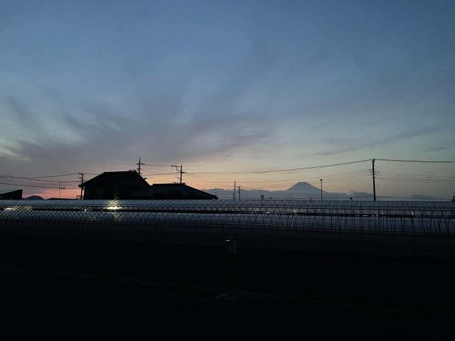 尾道お寺